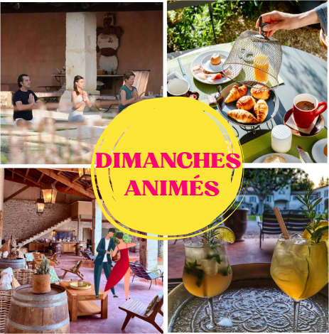 Les Dimanches Animés ✨