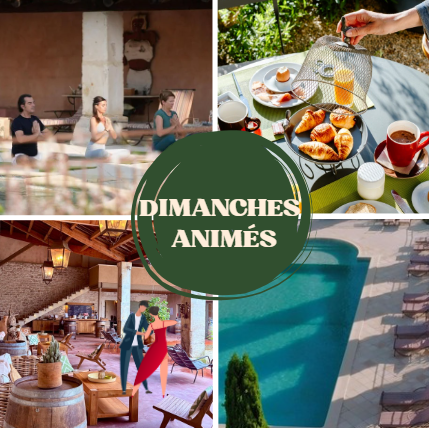 Les Dimanches Animés ✨